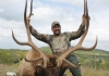 2013-ables-elk-1