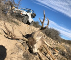 MD 2019 Sonnys Muley alone