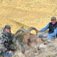 Two men pose beside a large, dead ram with curved horns on a rocky, grassy hillside.