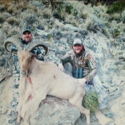 Two men in camouflage pose with a large, horned ram lying on rocks in a dry, grassy landscape.