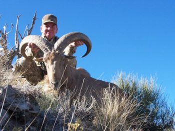 Person in camouflage poses behind a large wild ram with curved horns on a grassy hillside under a clear blue sky.