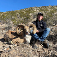 A person sitting on rocky terrain next to a ram with large curled horns, under a clear blue sky.