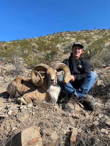 A person sitting on rocky terrain next to a ram with large curled horns, under a clear blue sky.