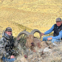 Two men pose on a grassy hillside with a large ram they have hunted, set against a backdrop of dry, rolling terrain.